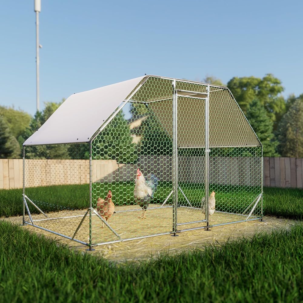 Walk-In Metal Chicken Coop And Poultry Run - 10 x 6.5-Foot