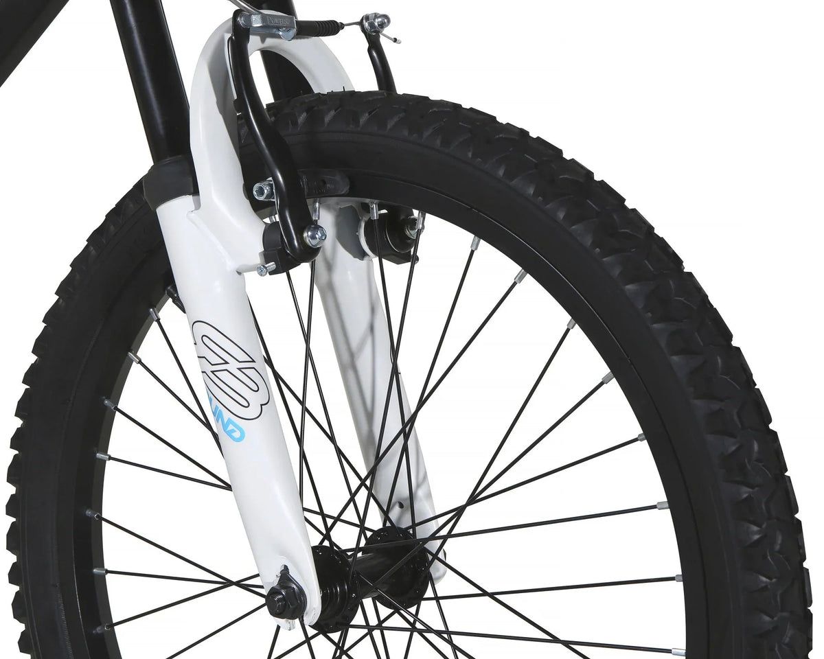 Dynacraft Air Zone 20-Inch Boys Mountain Bike - Air Zone